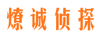 碑林市场调查